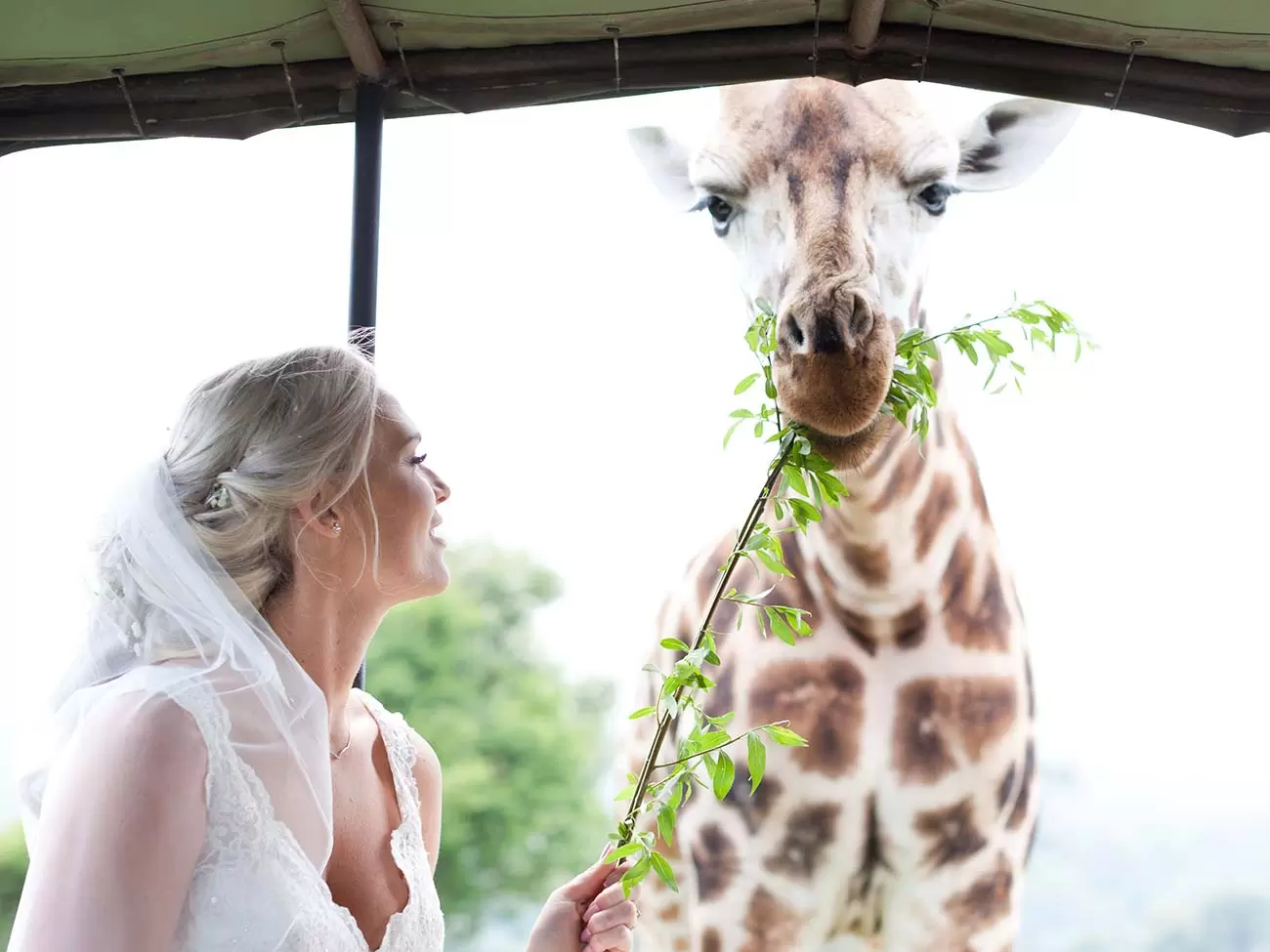 Port Lympne Weddings | Safari Wedding UK
