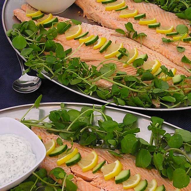 Peppers Wedding Events Caterers Wedding Catering Somerset