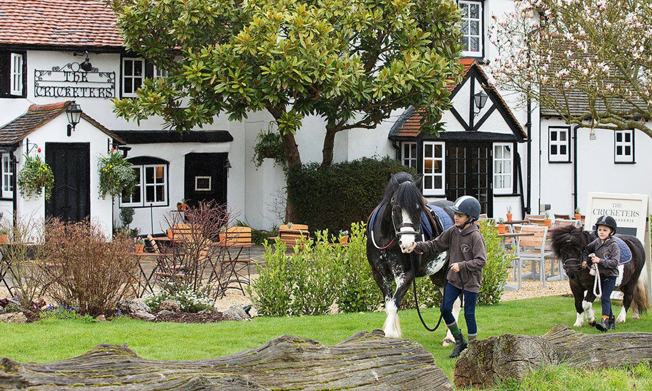 The Cricketers